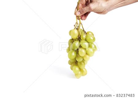 Cluster of green grapes held by a woman's hand on a white background. Healthy food concept Cluster of green grapes held by a woman's hand on a white background. Healthy food concept 83237483
