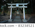 Dim shrine 83238521