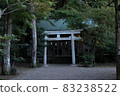 Dim shrine 2 83238522