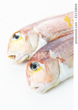 Amadai Amadai 83238604