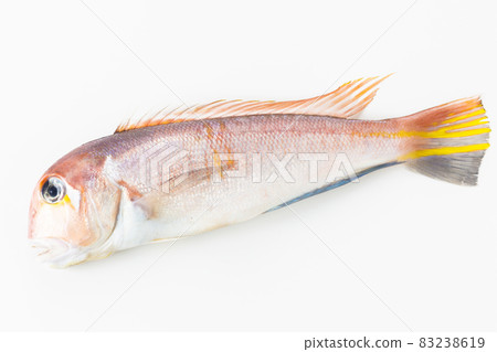 方頭魚 83238619
