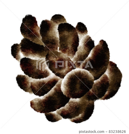 Pinecone Pinecone 83238626