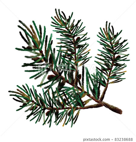 Pine branches 83238688