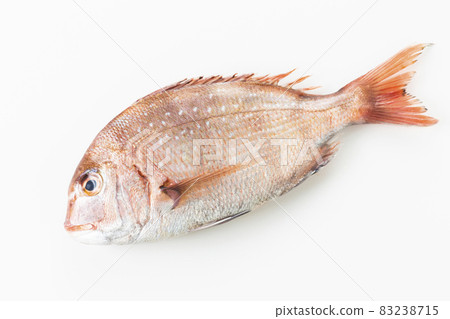 Red sea bream 83238715