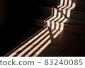 Insert light 83240085