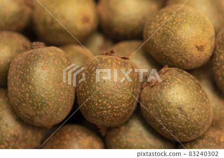 Shimasarunashi 83240302