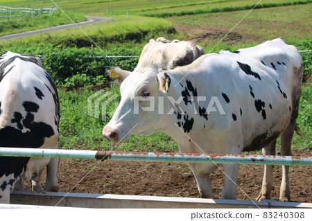 Fureai ranch Fureai ranch 83240308