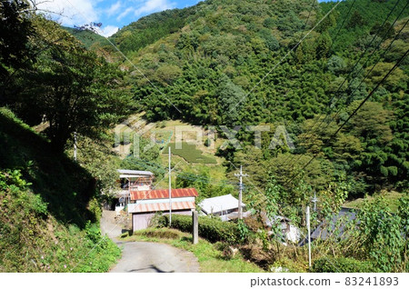 伊藤山山徑和鐮澤村（神奈川縣佐野川地區） 83241893