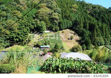 Tea plantations in Kamazawa (100 selections of Japanese villages, Sanogawa district) Tea plantations in Kamazawa (100 selections of Japanese villages, Sanogawa district) 83241894