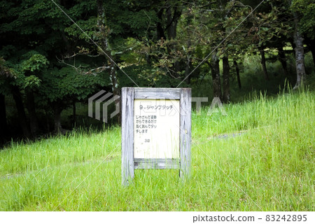 An unmanned park in the mountains 83242895