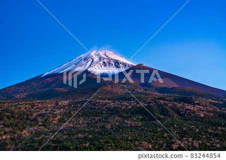 (Shizuoka Prefecture) Mt. Fuji with autumn leaves and snow makeup before dawn 83244854