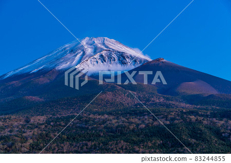 (Shizuoka Prefecture) Mt. Fuji with autumn leaves and snow makeup before dawn (Shizuoka Prefecture) Mt. Fuji with autumn leaves and snow makeup before dawn 83244855