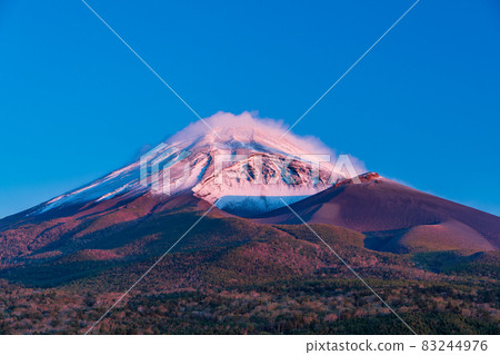 (Shizuoka Prefecture) Mt. Fuji with autumn leaves and snow makeup Red Fuji 83244976