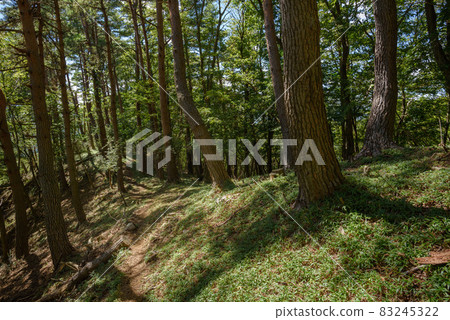 Image of dim mountains and distress 83245322