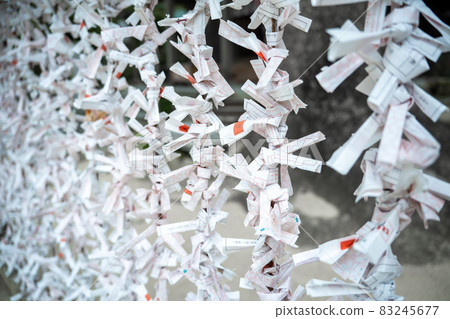 Omikuji 綁 Omikuji 綁 83245677
