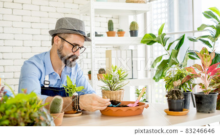 An elderly man handsome have mustache wearing glasses is happy with tree care and decoration. It is a hobby of home gardening, living happily after retirement 83246646