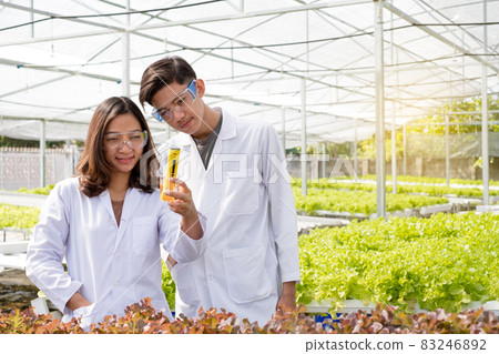Hydroponics Two Asian scientists have standardized and checked the pH of the hydroponics system of organic vegetables in the nursery 83246892