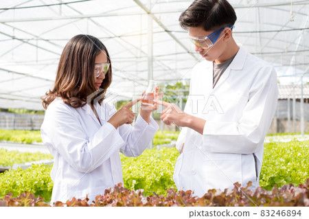 Hydroponics, two Asian scientists, tested the standards and collected chemical data of the organic vegetables grown using hydroponics in the nursery Hydroponics, two Asian scientists, tested the standards and collected chemical data of the organic vegetables grown using hydroponics in the nursery 83246894