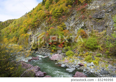 Autumn leaves of Akaiwa Aoikyo Gorge in full bloom (Shimukappu, Hokkaido) 83246998