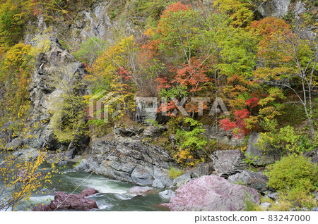 赤岩青峽的紅葉盛開(北海道Shimukappu) 赤岩青峽的紅葉盛開(北海道Shimukappu) 83247000