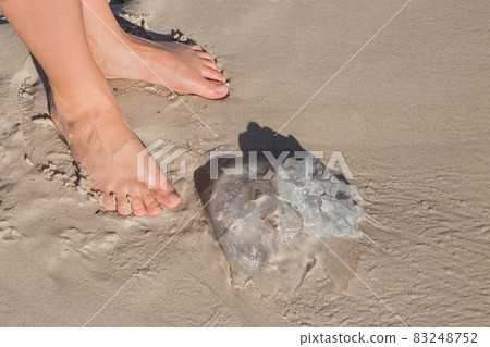 The girl's feet stand next to a jellyfish on the sand of the sea beach The girl's feet stand next to a jellyfish on the sand of the sea beach 83248752
