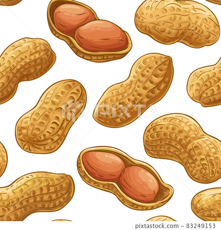 peanut vector pattern on white background peanut vector pattern on white background 83249153