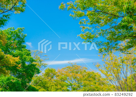 Look up at the blue sky 83249292