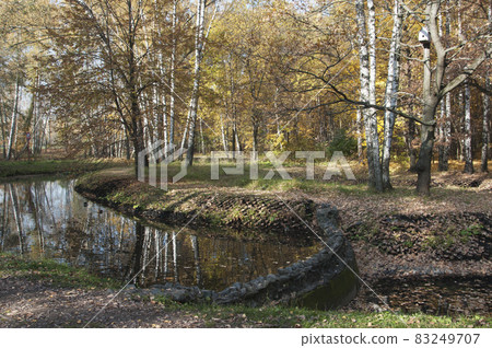 Autumn landscape in Sokolniki park Autumn landscape in Sokolniki park 83249707