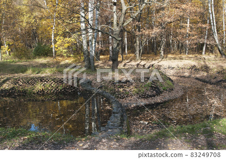 Autumn landscape in Sokolniki park Autumn landscape in Sokolniki park 83249708