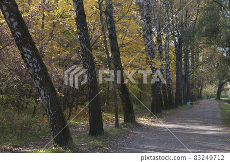 Autumn landscape in Sokolniki park 83249712