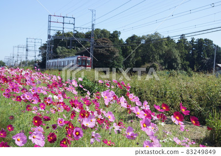 Meiwa-cho Saikyu Cosmos and train 83249849