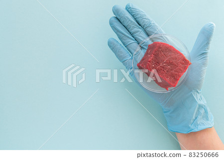 Lab grown meat concept - meat in petri dish 83250666