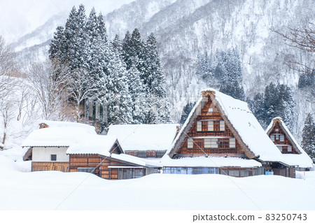 Suganuma Gassho-zukuri Village (Winter) 83250743