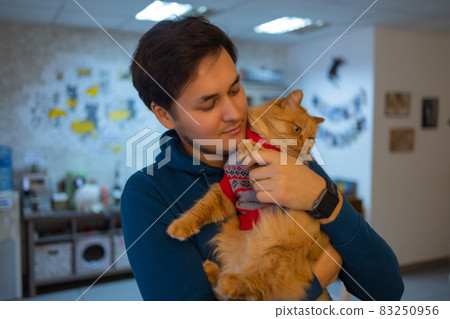 Cute cat in Santa Claus hat against blurred Christmas lights. Cute cat in Santa Claus hat against blurred Christmas lights. 83250956