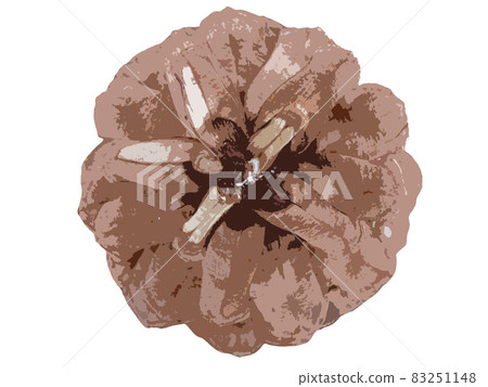 Cutout illustration of pine cones Cutout illustration of pine cones 83251148