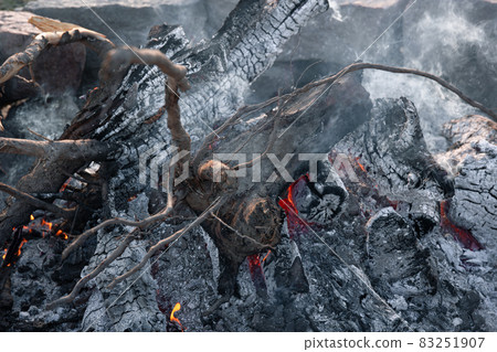 Close-up of large logs of a tree in a dying fire. Close-up of large logs of a tree in a dying fire. 83251907