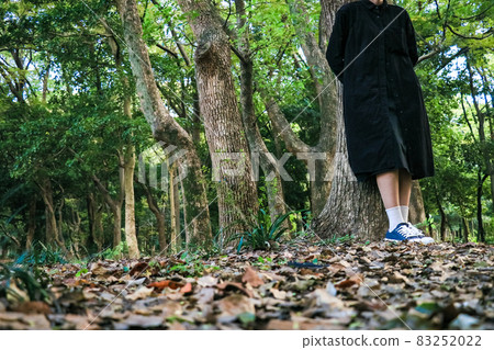 A woman standing in the autumn forest, a forest of fallen leaves A woman standing in the autumn forest, a forest of fallen leaves 83252022