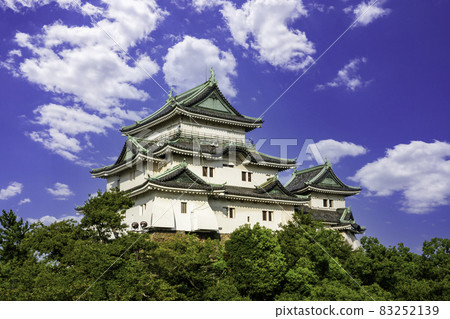 和歌山縣和歌山市和歌山城城堡塔 83252139