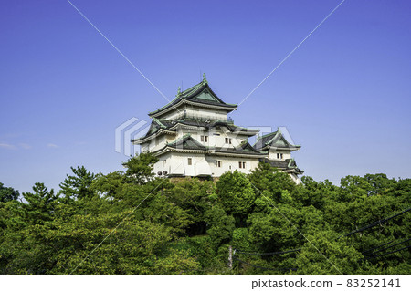 Wakayama Castle Castle Tower Wakayama City, Wakayama Prefecture Wakayama Castle Castle Tower Wakayama City, Wakayama Prefecture 83252141