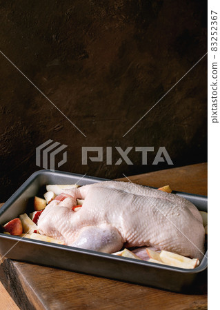 Raw uncooked whole duck in tray with apples Raw uncooked whole duck in tray with apples 83252367