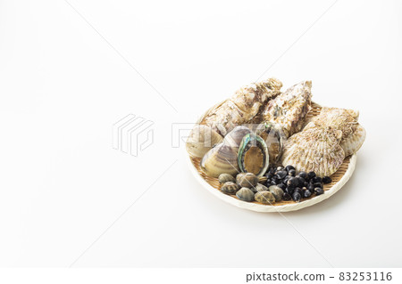 貝類套裝 貝類套裝 83253116