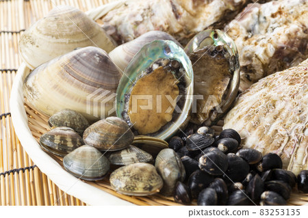 貝類套裝 貝類套裝 83253135