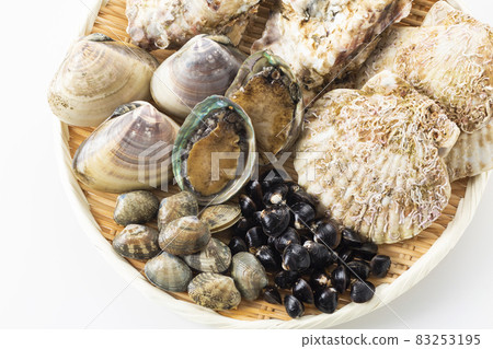 Shellfish set Shellfish set 83253195