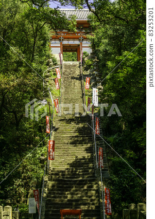 和歌山縣紀州東照宮武士坂和歌山市 和歌山縣紀州東照宮武士坂和歌山市 83253201