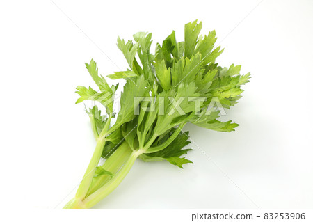 celery celery 83253906