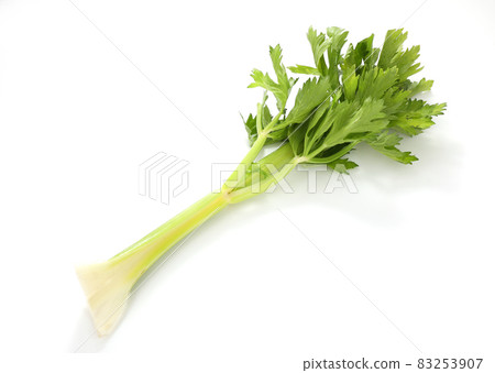 celery  83253907