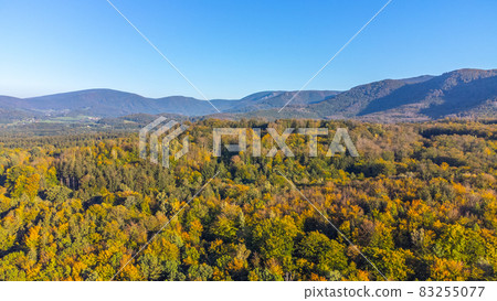 Autumn time colorful beechwood of Jizera Mountains from above 83255077