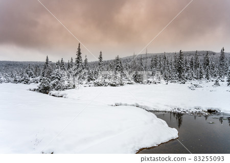 Snowy landscape with trees and small creek 83255093