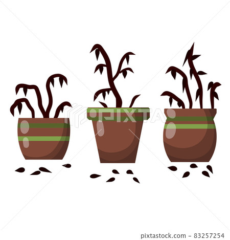 Dead houseplant. Dry leaves. Set of plants in pot. Forgotten bush. 83257254