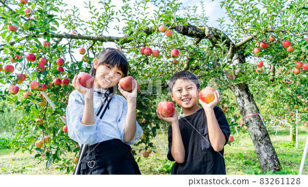 小學男生女生十月摘蘋果 83261128